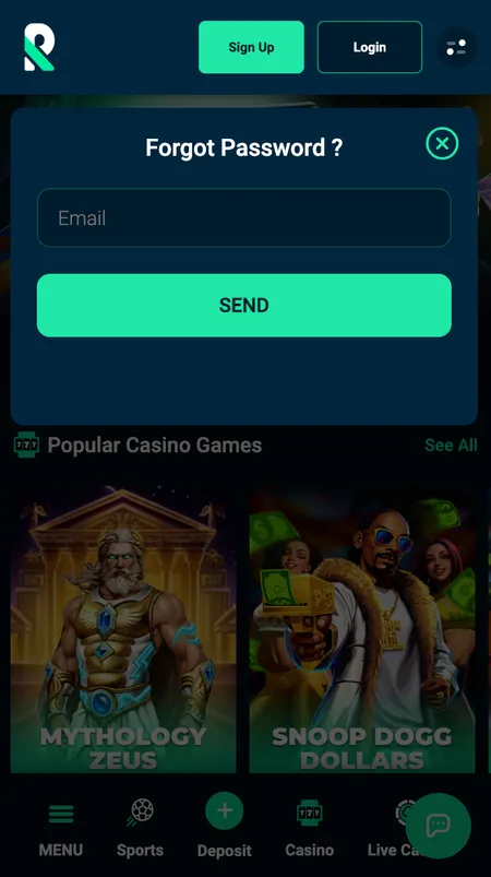 Rolletto Casino password reset screen